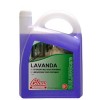 LAVANDA - 5L  DETERGENTE MULTIUSOS PERFUMADO 